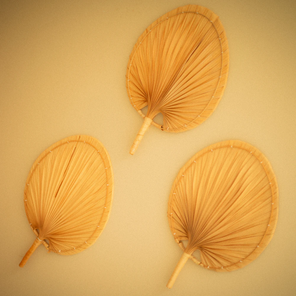 Natural Palm Leaf Wall Art